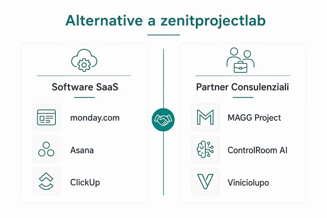 Comparative infographic between software solutions and suppliers